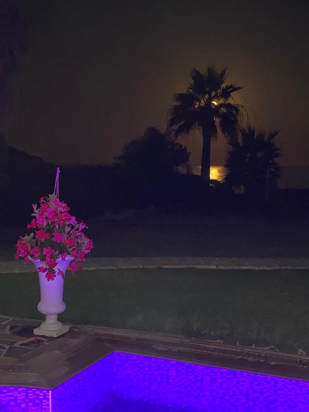 Ionion Beachfront Villa ไอยานาปา ภายนอก รูปภาพ