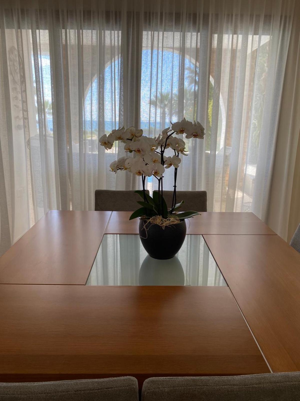 Ionion Beachfront Villa ไอยานาปา ภายนอก รูปภาพ
